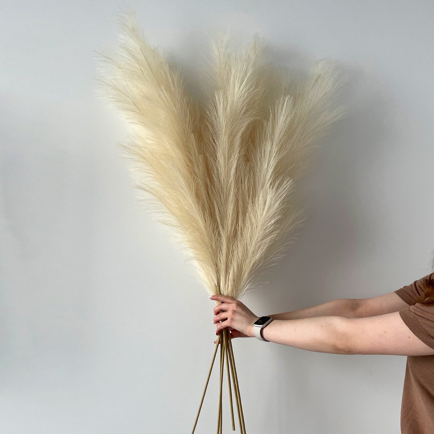 Extra fluffy and tall artificial pampas ORNA in Ivory, 3 stems set, Giftbox