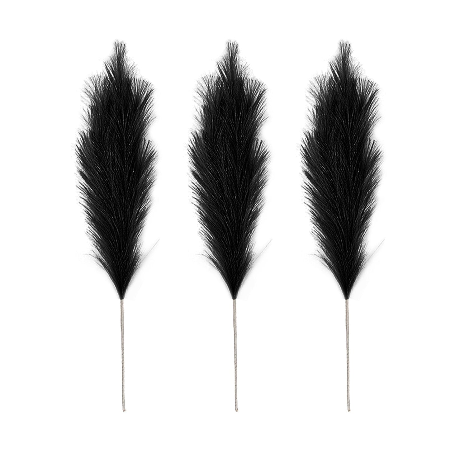 
                  
                    Extra fluffy and tall artificial pampas ORNA in Black, 3 stems set, Giftbox
                  
                